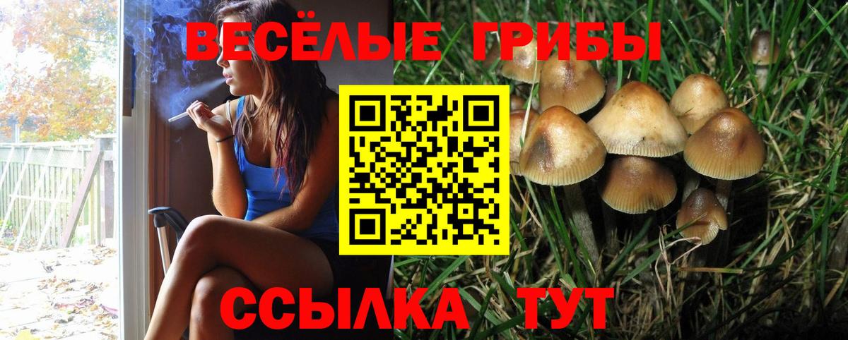 Кулебаки  Псилоцибиновые грибы Psilocybe  Вход с VPN  Псилоцибиновые грибы ЛСД 
